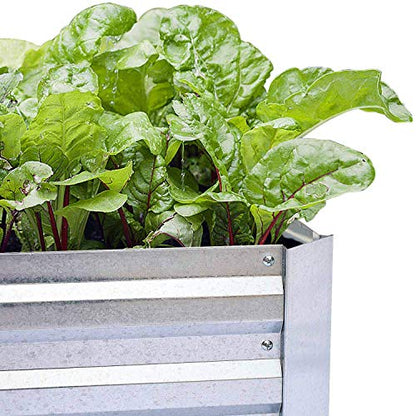 Galvanized Raised Garden Beds 2-Pack (6x3x1ft Each) – Popular Heavy-Duty Metal Planter Box with 4 Support Bars for Vegetables, Herbs, Flowers, Space-Saving Size for Small Yards & Patios - size: 6x3x1ft (2 pcs)