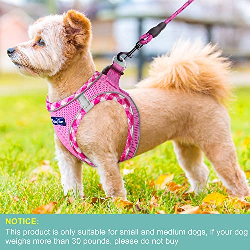 haapaw Dog Harness with Leash Set, No Pull Adjustable Reflective Step-in Puppy Harness with Thickened Padded Vest for Extra-Small/Small Medium Dogs - color: Pink, size: M