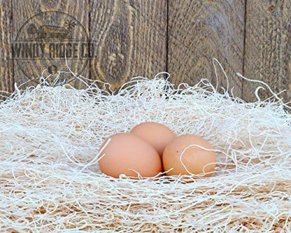 Natural Chicken Nesting Pads - 10 Pack - Aspen Excelsior Bedding Hen Nest Box Liners - USA Made - 13" x 13"