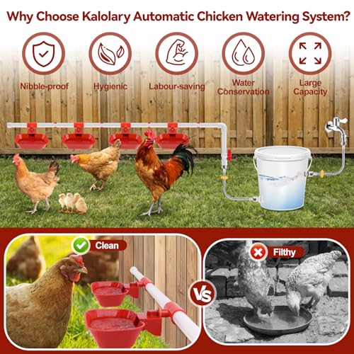 Kalolary Complete Set Automatic Chicken Drinking System, Upgraded Extra Large Poultry Chicken Waterer Cup with Stainless Steel PVC Pipeline，Float Valve and Tank Connector Kit(66 Accessories Included)