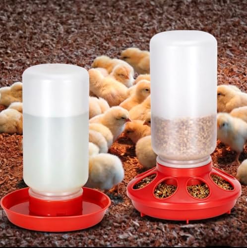Chick Feeder Waterer Set for Chicken Chick Coop