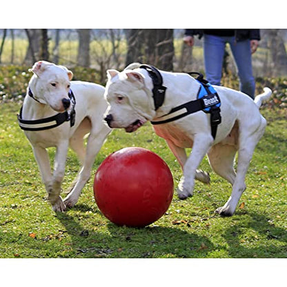 Jolly Pets Push-n-Play Ball Dog Toy, 3 Inches/Mini, Purple - color: Purple, size: 3 in/Mini
