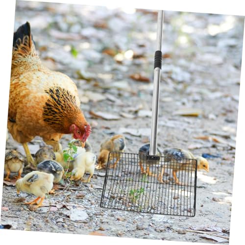 DOITOOL Scooper for Waste Long Metal Poultry with Large Detachable Handle and 66.8" Removal Manure Cleaning in Animal Agricultural and Livestock Stall Supplies