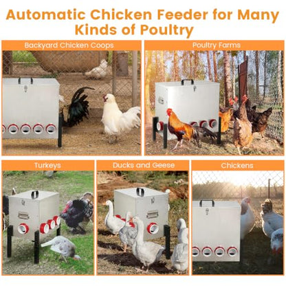 100LB Automatic Chicken Feeder with Cover – Large Capacity Metal Chicken Coop Feeder with 12 Feed Ports, Adjustable Legs Rainproof No Waste Outdoor Poultry Feeder for Hens & Free Range Flocks - size: 100LBS