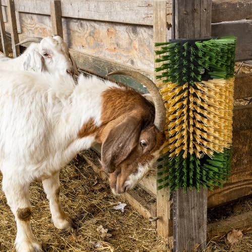 Premier 1 Scratch Brushes for Cattle, Sheep, Goats, Horses & Other Livestock | Durable 2" Stiff Bristles Built to Last | Easily Mounts with Hardware Included (Green/Tan - XL) - style: Green/Tan - XL