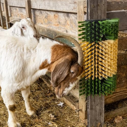 Premier 1 Scratch Brushes for Cattle, Sheep, Goats, Horses & Other Livestock | Durable 2" Stiff Bristles Built to Last | Easily Mounts with Hardware Included (Green/Tan - Large) - style: Green/Tan - Large
