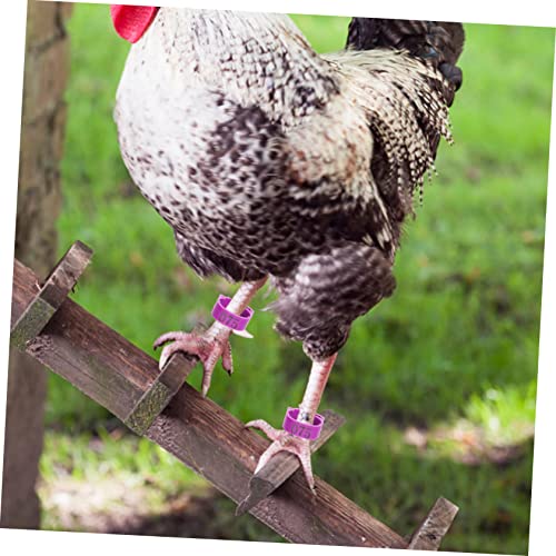 ibasenice Adjustable Chicken Leg Bands Numbers 1-100 Poultry Identification Rings Plastic Bird Foot Marking Tools for Pigeons and Chickens