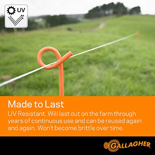 Gallagher Electric Fence Wire — 1,640ft (500m) Polywire for Livestock, Horses & Cattle | 6 Stainless Steel Strands | Poly Wire UV & Rust Resistant | 1/16" Diameter