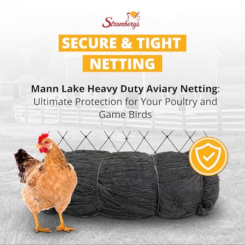 Stromberg’s 2” Mesh Heavy Duty Knotted Aviary Netting, UV Resistant Polyethylene Fiber for Birds, Pheasants & Poultry, 85 Lbs Break Strength Durable Against Weather and Predators, Size 100' x 150' - style: 2" Netting - 100' x 150'