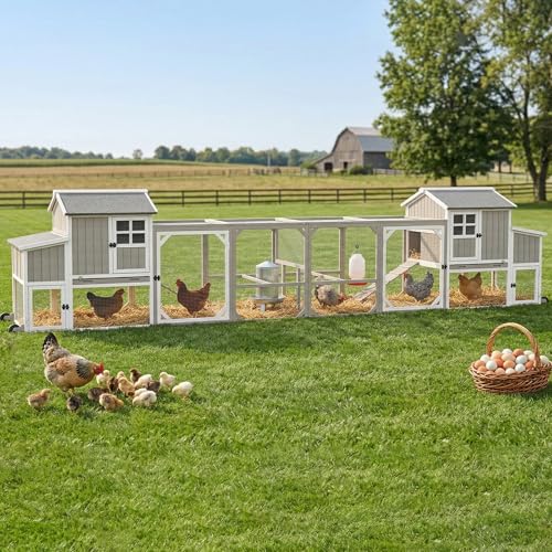 187" L Extra Large Chicken Coop for 6-8 Chickens, Outdoor Hen House Chicken Tractor with 6 Nesting Box, Wooden Quail Hutch Poultry Cage Wheels and Run (Set of Two) - size: 187.0"L x 31.5"W x 45.0"H