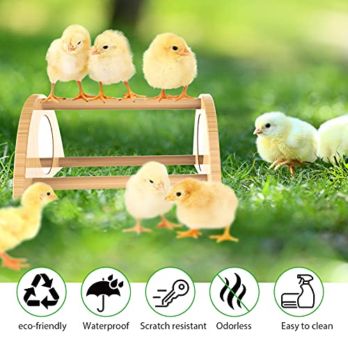 Mini Chick Perch with Mirror, Strong Bamboo Roosting Bar for coop and brooder, Training Perch for Baby Chicks, El Pollitos, La Pollita, Easy to Assemble and Clean, Fun Toys for Chick
