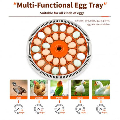 30 Egg Incubator with Automatic Egg Turning, Temperature Control and Humidity Monitor Incubators for Hatching Eggs, Chicken, Ducks, Goose, Pigeon, Quail, Parrot Incubator for Farm, Lab - size: 30-EGGS