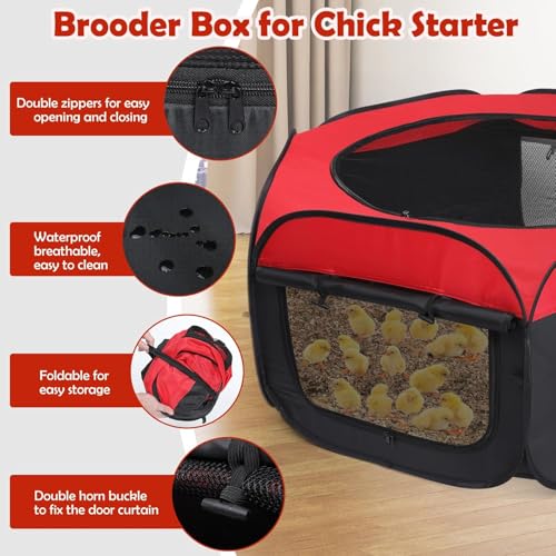Chicken Brooder Box Double Door Playpen, Baby Chick Duck Quail Starter Kit, 15 Bird Capacity