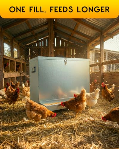 85lbs Metal Chicken Feeder on Wheels, Magicfly Automatic Large Chicken Feeders No Waste Feed Box Poultry Feeder with Latch and Handle, Oyster & Grit Trough for Ducks, Turkeys & Chickens