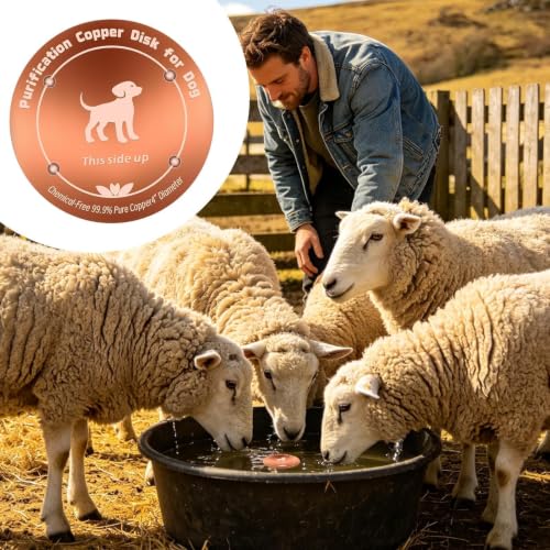 Copper Waterer Cleaning Disc, All Season Livestock Water Purifier Tray Keeps Water Clean for Poultry, Dogs & Cattle - size: dog