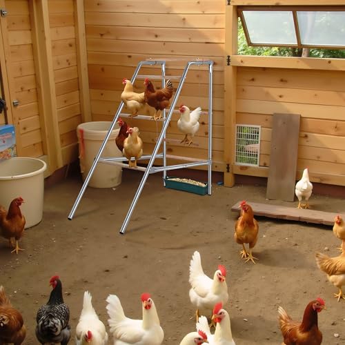 Chicken Roosting Perch and Bars with Leg Bands for Coop - Perfect for Backyard & Farm Poultry Hens, Chicken Run, Easy to Assemble and Clean