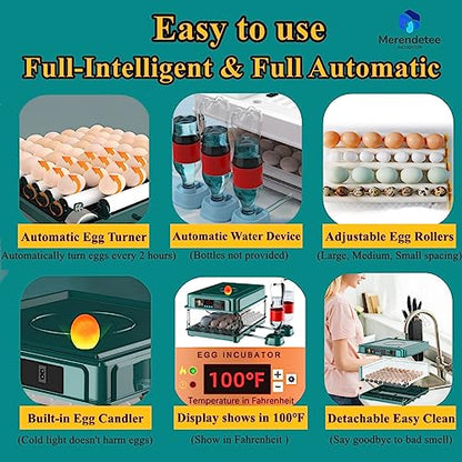Egg Automatic Incubator 24-60 Eggs Intelligent Incubators for Hatching Eggs, Poultry Hatching Machine for Chicken Duck Goose Quail Bird Pigeon