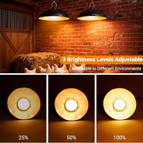 redaica Solar Chicken Coop Light with Timer, 2 Lamps & Remote 3/5/8H Chicken Coop Accessories, 3 Brightness Levels Solar Lights for Chicken Coop, Waterproof Light for Sheds Barns, Stables, Duck Houses