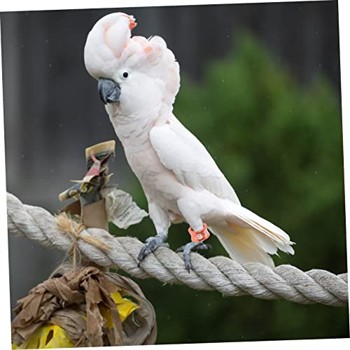 LIOOBO 50pcs Chicken Leg Bands Homing Pigeon Parrot Leg Rings Pigeon Foot Ring Small Closed Anklet