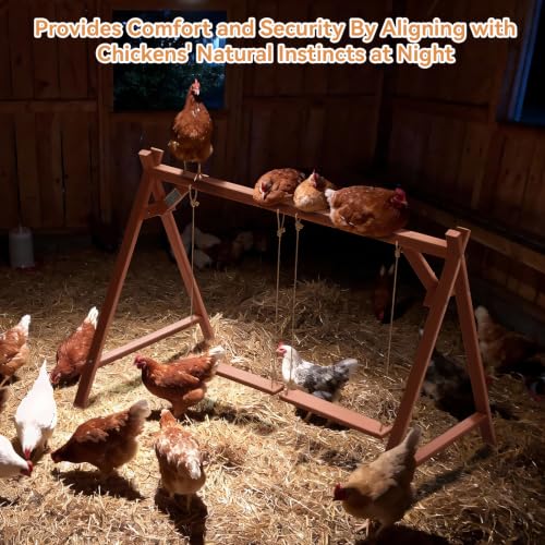 PETSFIT Wooden Solid Chicken Perch & Roosting Bars with 2 Swings, 50"x30"x34" Coop Toy for 6–8 Hens, Multi-Level Stand Encourages Exercise & Natural Behavior, Easy to Assemble & Clean,Outdoor Use - size: 50"L x 30"W x 34"H