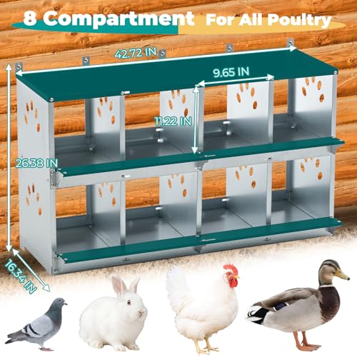 Yafylly Chicken Nesting Boxes, Wall Mountable Metal Chicken Coop Nesting Box, Easy Egg Collection Roll Away Nesting Boxes Chicken, Roosting Boxes for Chickens, 8 Compartments - color: Green, size: 8 Compartment