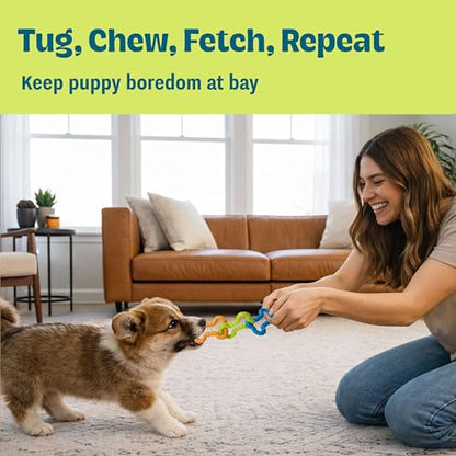 Bone Tugz Tug & Chew Dog Toy - Bendy, Textured Rubber for Tug-of-War, Light-Moderate Chewers, Teething Puppies & Small Dogs, 6.25" x 1.75" - color: Bonetugz Blue