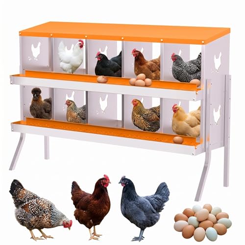 Chicken Nesting Boxes, 10 Compartment Metal Stainless Steel Chicken Laying Boxes with Legs, Easy to Clean and Install, 2-in-1 Wall/Floor Standing, for Hens Outdoor Chicken Coop Farm Yard, Orange - color: Orange, size: 10 holes with legs