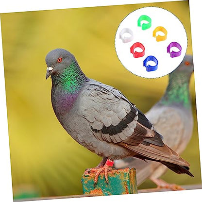 100pcs Colorful Poultry Foot Rings Large Clip-on Leg Bands for Pigeons Doves Ducks and Chickens Easy Identification for Bird Breeders and Enthusiasts