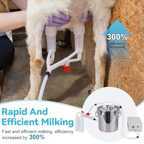 Cow Electric Milking Machine 14L - 110V-240V Automatic Pulsation Vacuum Pump with 2 Teat Cups Stainless Steel Bucket for Cows - size: 14L/3.7GAL