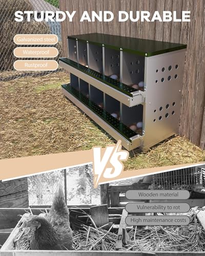 Metal Chicken Nesting Boxes - 10 Hole Wall-Mountable Laying Boxes with Lid & Roll-Away Egg Collection, Weatherproof Galvanized Steel, Includes 10 Fake Eggs for Chicken Coop, Red - color: Green, size: 10 Compartment