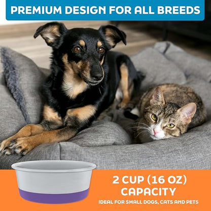 Master Pet Supply Stainless Steel Dog Bowls Set of 2 with Extra Thick Silicone Base - 2 Cup (16 oz) Plum Crazy, Non-Slip, Dishwasher Safe Metal Bowls, Pet Dog Food Bowl for Dogs, Cats, Anti Rust - color: Plum Crazy, size: 2 Cups (16 oz) 2 Pack