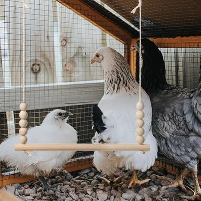 Chicken Swing Toy, Chicken Perch Natural Wooden Swing Toys Perch Ladder Coop Accessories