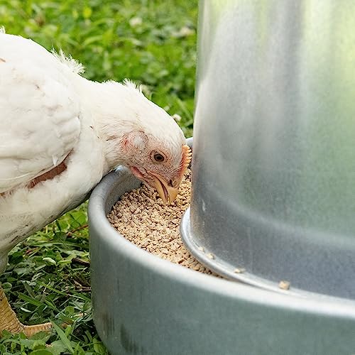 Premier 1 Galvanized Cone Feeder for Chickens & Poultry - 11 lb Capacity