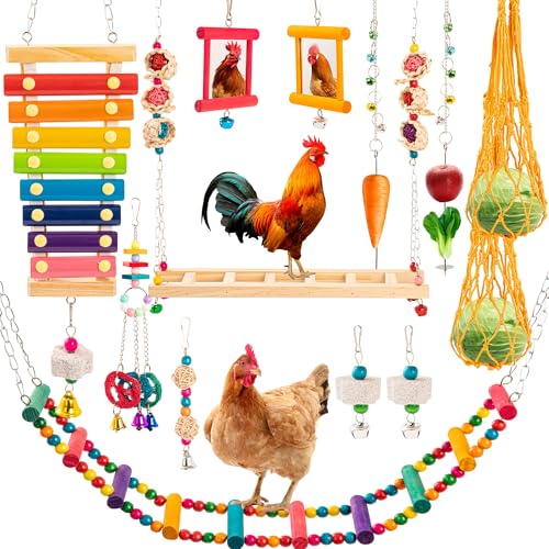 14PCS Chicken Toys for Coop Accessories, Swing Bridge Ladder Mirror Xylophone Toys with Bells Hanging String Vegetable Fruits Skewer Hanging Feeder Chicken Chewing Toy for Hens Chick Bird Parrot - color: 14 PCS