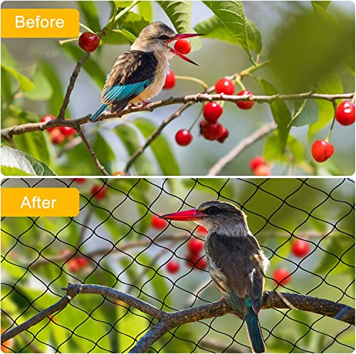 BSTPCOO Bird Net 25'x25' with 2.4" Square Mesh Bird Netting for Chicken Coop Roof, Poultry Netting Heavy Duty Nylon for Garden, Chicken Netting Fruit Tree Netting, Hawk Netting for Chicken Run - size: 2.4"-25' X 25'