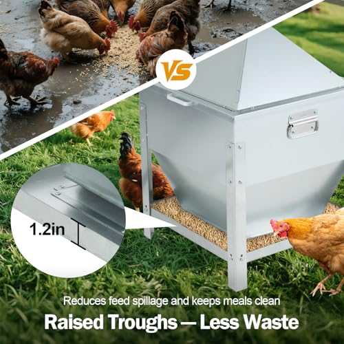 80LBS Large Metal Chicken Feeder, Galvanized Steel Gravity Chicken Feeder with 4-Sided Trough, No Waste Design, Waterproof Locking Lid, Heavy Duty Automatic Outdoor Poultry Feeder for Backyard & Farm