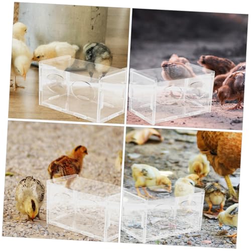 Toddmomy 3pcs Rutin Chicken Feeder and Water Bowl Automatic Poultry Dispenser for Healthy Feeding Design for Backyard Farmers and Hobbyists