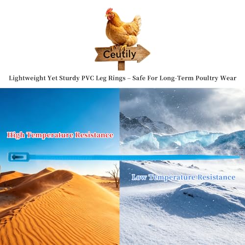 100 Pcs Chicken Leg Bands with 400Pcs Charms, Adjustable Plastic Leg Bands for Chickens Ducks Geese, Color-Coded Poultry Identification Rings for Farm Flock Management