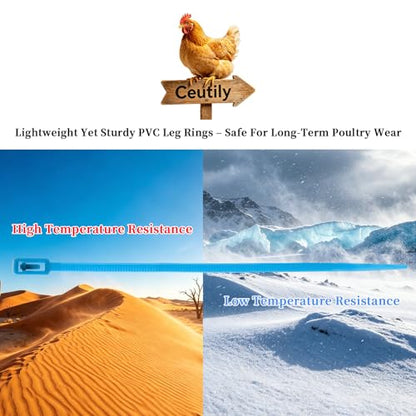 100 Pcs Chicken Leg Bands with 400Pcs Charms, Adjustable Plastic Leg Bands for Chickens Ducks Geese, Color-Coded Poultry Identification Rings for Farm Flock Management