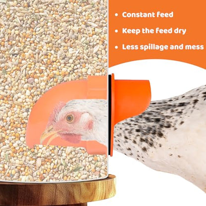 5 Gallon (44 Lbs) Automatic Chicken Feeder & Waterer Set, No-Waste & Rain Proof Design, Keeps Out Small Animals, Hanging Poultry Kit for Chicken, Duck, Turkey & Geese