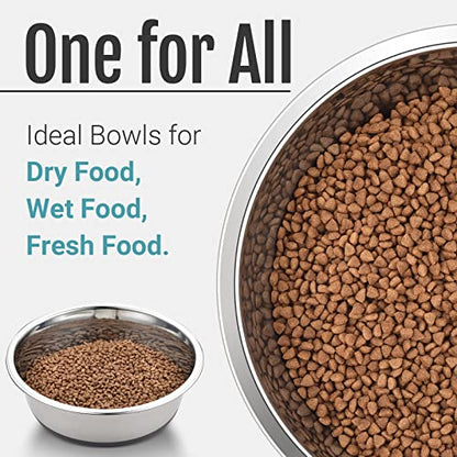 PEGGY11 Nonslip Stainless Steel Dog Bowls, 11.4 US Cup, 2 Count | No slide silicone bottom, Dishwasher safe, Easy to clean, Stackable design - size: 11.4 Cup