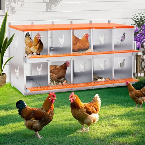 Heavy-Duty Wall-Mounted Metal Nesting Box for Backyard Chickens and Ducks with Ventilation and Easy Egg Access (10-Orange)
