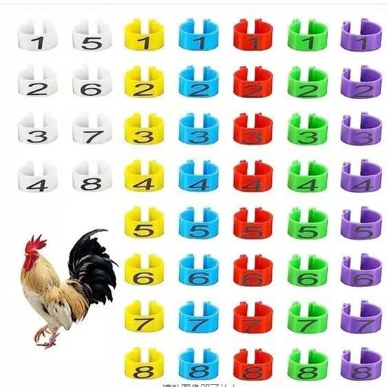 Large Poultry Leg Rings, 80 Adjustable Leg Rings, Suitable for Poultry Such as Chickens, Ducks, Guinea Pigs, Geese, Wild Chickens, Turkeys, etc., with a Size of 20mm