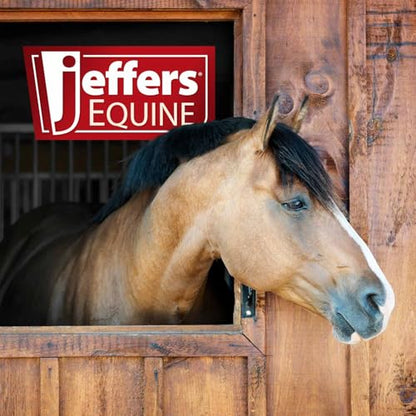 Jeffers Equine Braided Mule Tape Halter with 10' Detachable Lead Rope Set for Horses, 14 to 18 Hands - Stylish Design with Adjustable Poll Strap, Easy to Use Western Tack - Red - color: Red