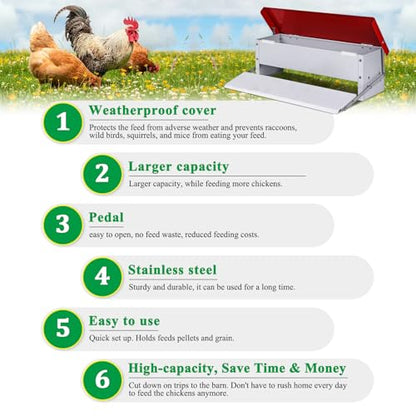 Automatic Chicken Feeder, Galvanized Treadle Poultry Feeder No Waste, Rainproof Metal Auto Chicken Feeder Rat-Proof, No-Spill for Duck Turkey Outside