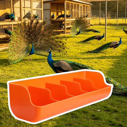 4 5 6 Holes Plastic Peacock Feeder Trough, Poultry Water Trough Replacement with Separated Fence, Small Pig Feeder for Outdoor/Indoor(Orange L54.5cm/21.5") - size: Orange L54.5cm/21.5"