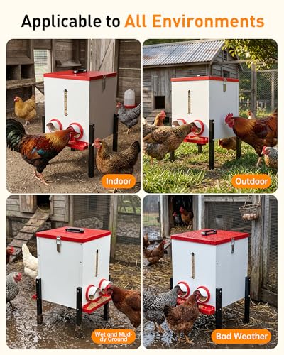 55LB Automatic Chicken Feeder, 40L Metal No Waste Poultry Feeder with Rat-Proof Design, 4 Feeding Ports, Weatherproof Locking Lid, Height-Adjustable Legs for Chickens, Ducks and Geese