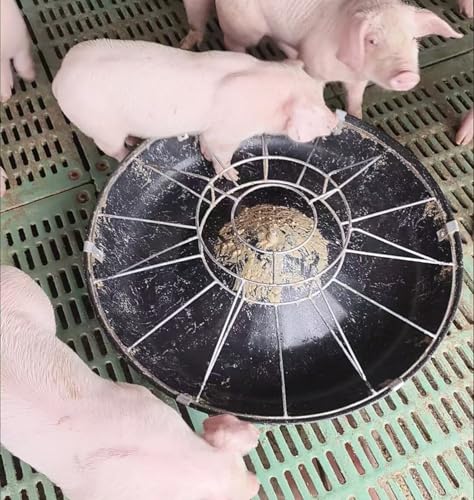 Anti-Waste Round Plastic Pig Feeder, Multi-Compartment Livestock Water Trough, Homestead Feed Trough for Piglet, Duck, Chicken, Rabbit(Double Rack,80cm/31.5"(16 Slots)) - color: Double Rack, size: 80cm/31.5"(16 Slots)