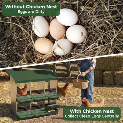 Heavy Duty Galvanized Steel Chicken Nesting Box – 6 Holes, Roll Away Egg Laying, Protective Lid, Wall Mounted or Freestanding, Easy Clean, Vented Pegboard Sides, Soft Mats, Green (Pegboard - color: Green, size: 6 Room&Mat Board