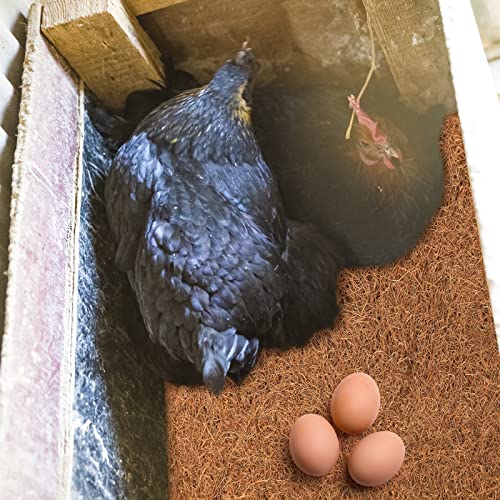 Chicken Nest Pad, 33 x 33 cm Washable Plastic Chicken Nest Box Liner,Chicken Nest Box,Chicken Nest Box Plastic Mat, Chicken Coop Bedding Liners Mat Laying Hen Nesting Box Pads for Hen Laying(10pcs) - color: 10pcs